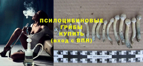 спиды Горнозаводск