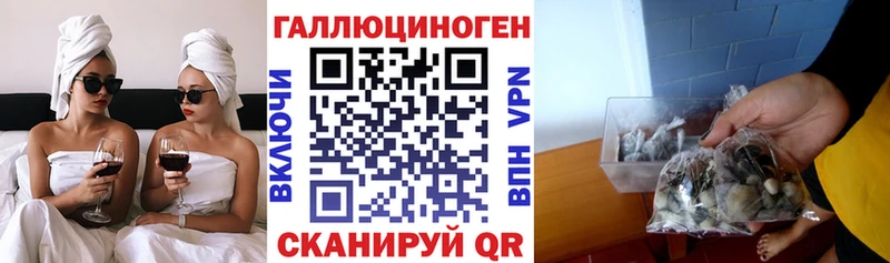 мега зеркало купить наркоту Ельня Псилоцибиновые грибы мухоморы